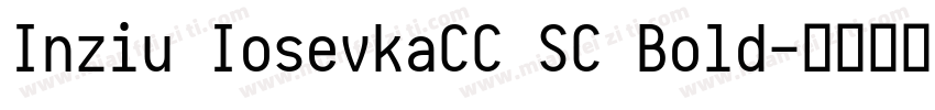 Inziu IosevkaCC SC Bold字体转换